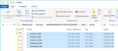 TS_Lite_4.png